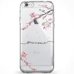 Capinha Coleção Manuscrita 45