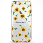 Capinha Coleção Manuscrita 53