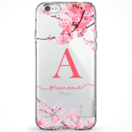 Capinha Coleção Manuscrita 62